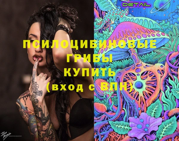 мдпв Покачи