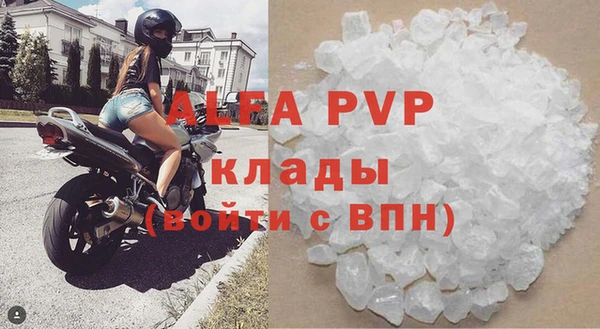 прущие грибы Пестово