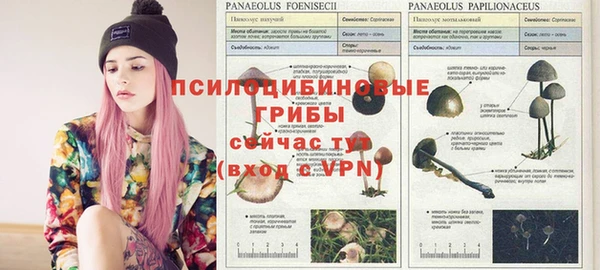 кокс Покровск