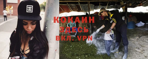 прущие крисы Пересвет