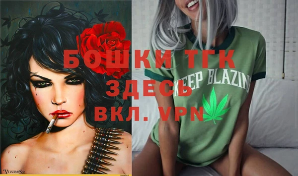 прущие грибы Пестово