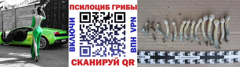 Псилоцибиновые грибы Magic Shrooms  сайты даркнета формула  Красково 